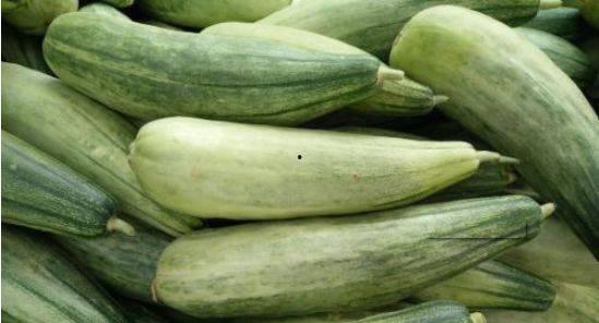 羊角蜜瓜价格今日行情