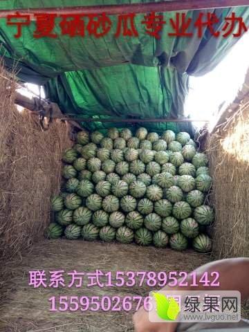 宁夏石头瓜今日价格,市场行情一览”