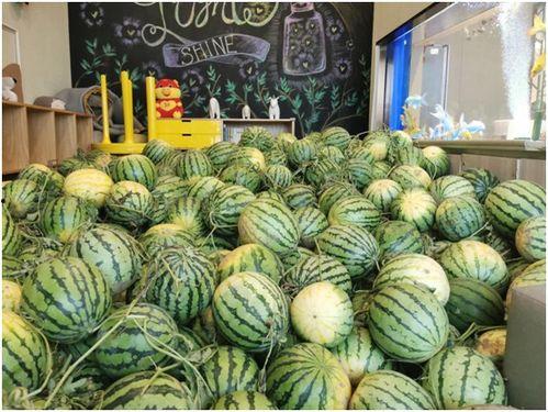 今日吃瓜在哪看,尽在指尖，揭秘热门事件直播平台