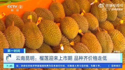瓜沥水果榴莲批发价今日,品质之选，价格实惠！”