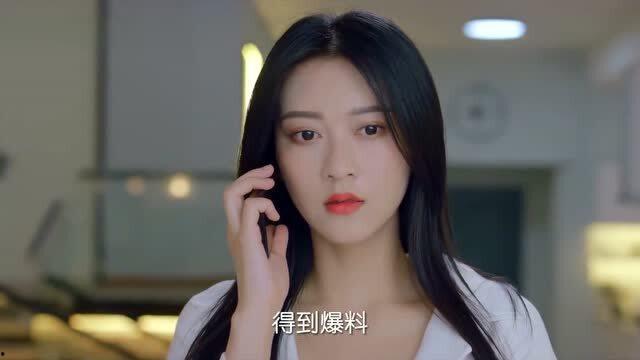 出轨的明星网红是谁