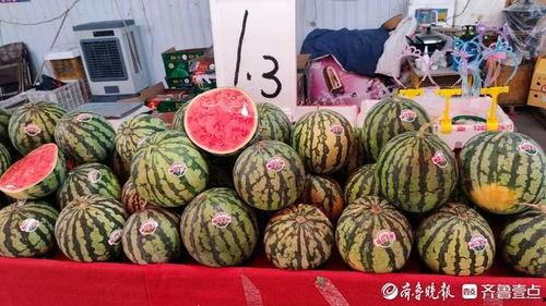 云南建水小瓜今日行情