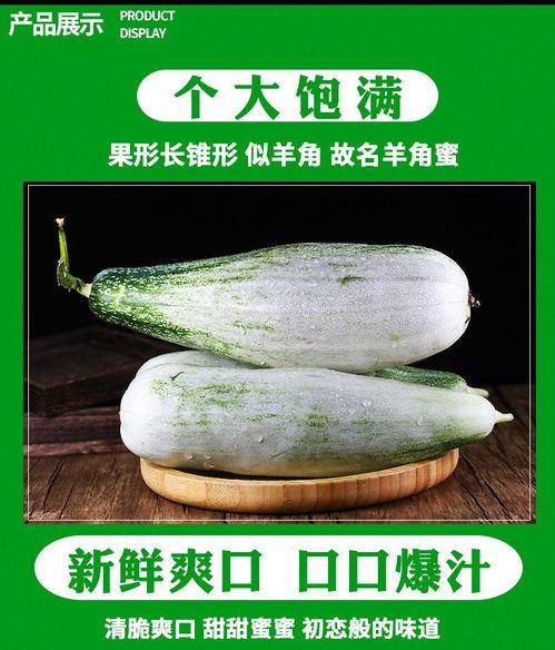 今日羊角酥瓜价格,市场波动下的甜蜜诱惑