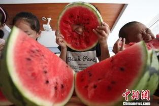 瓜姐今日吃瓜扬州