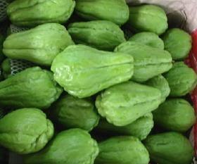 佛手瓜今日价格,市场波动下的新鲜动态