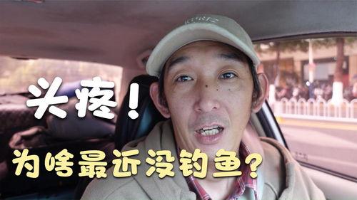 瓜爸今日头条,揭秘娱乐圈最新热点，带你领略明星幕后故事