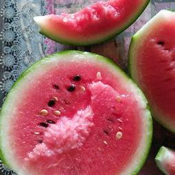 吊瓜今日价格行情,涨跌波动一览无遗