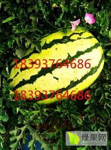 嘉兴今日硒砂瓜行情,品质优良，价格稳定，备受市场青睐