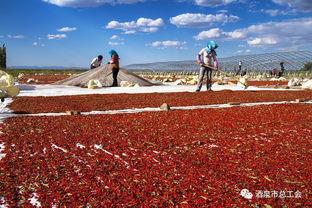 瓜州疫情今日情况最新,多举措应对，防控形势持续向好
