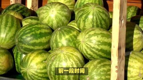 次瓜西瓜今日价格,次瓜西瓜行情一览”