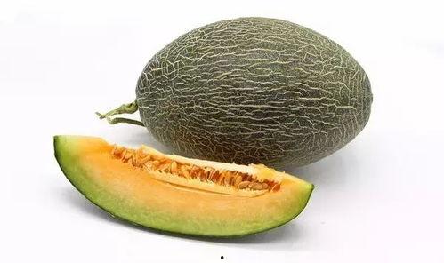 海南二瓜哈密瓜今日价格,价格行情一览