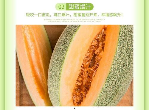 海南二瓜哈密瓜今日价格,价格行情一览