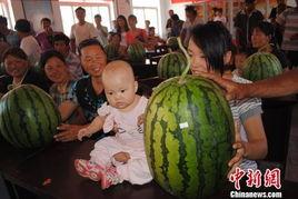 宜城瓜王今日新闻