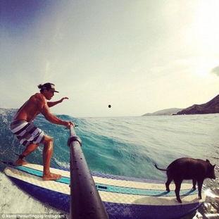 冲浪明星网红有哪些名字,揭秘潮流冲浪明星们的名字与风采